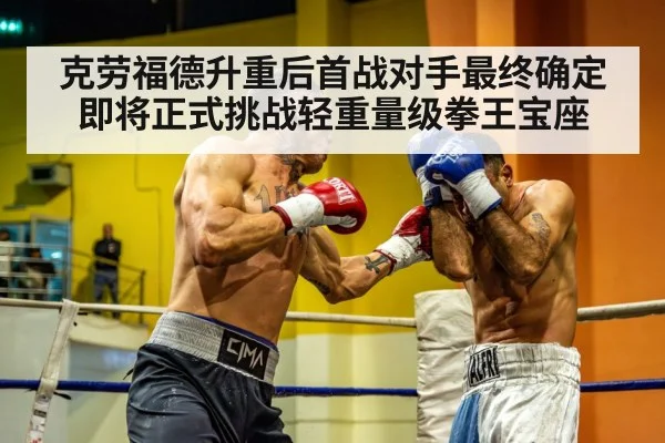 light heavyweight boxing